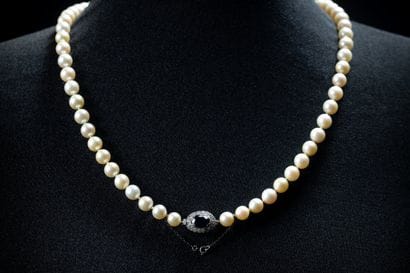 Shocker necklace with 66 white cultured pearls...
