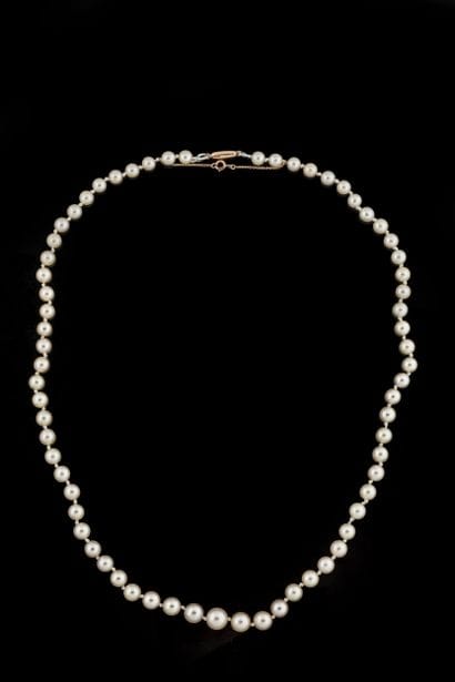 Collier chute de 67 perles de cultures blanches...