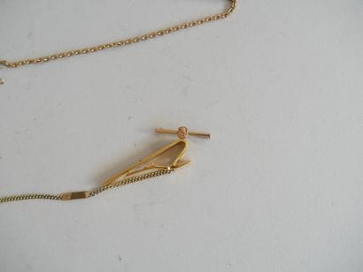 Fashion jewelry set: tie clip, chain, me...