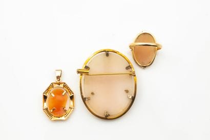 Set of shell cameos with women's profiles...
