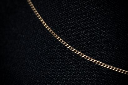 Yellow gold (750) curb chain. Eagle-head...