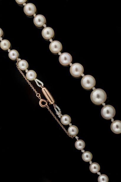 Collier chute de 67 perles de cultures blanches...
