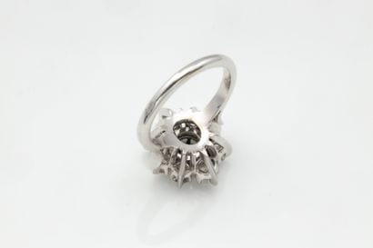 Daisy ring in white gold (750 thousandths)...