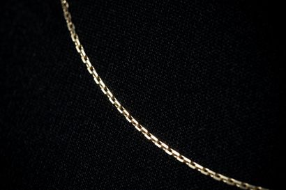 Yellow gold (750) forçat chain. Eagle-head...