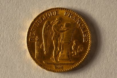 1 20-franc gold coin, 1876