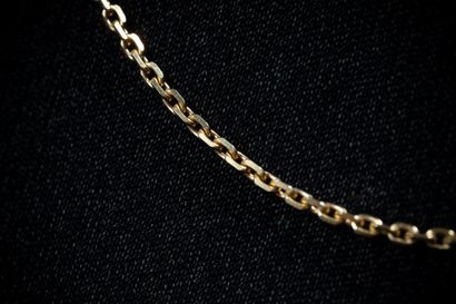 Filed forçat-link chain in yellow gold (750...