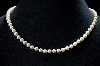Shocker necklace with 68 white cultured pearls,...