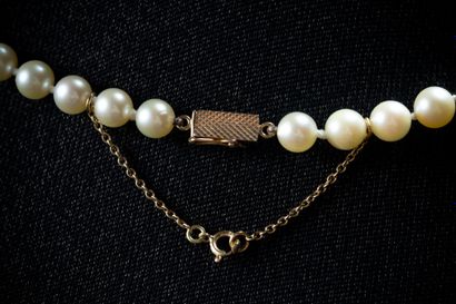 Shocker necklace with 68 white cultured pearls,...