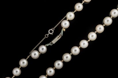 Collier shocker de 74 perles de cultures...