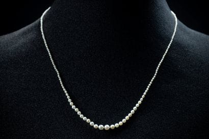 A small necklace made of cultured pearls...