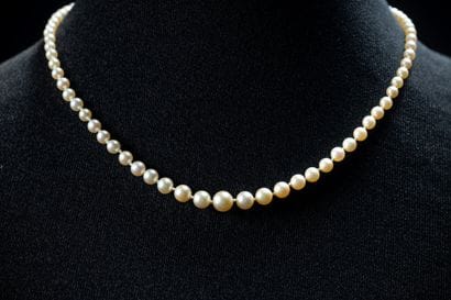 Collier en chute de 85 perles de cuite blanches...