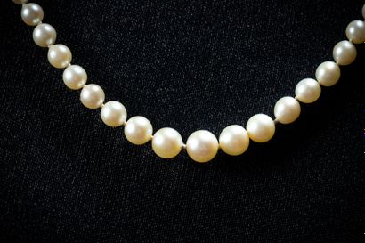 A cascading necklace featuring 124 white...