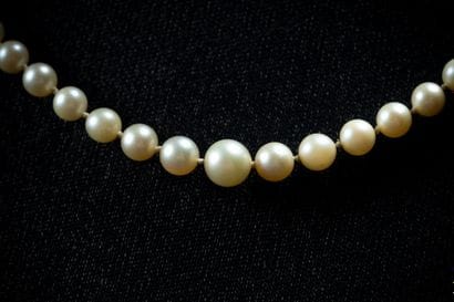 Necklace featuring a cascade of 105 white...