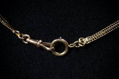 Double curb-link chain in yellow gold (750...