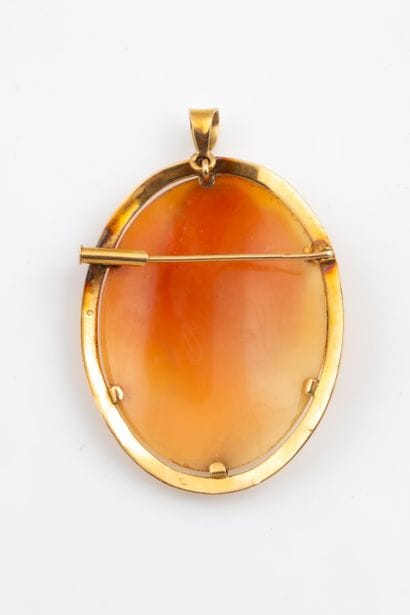 Cameo brooch featuring a woman’s profile...