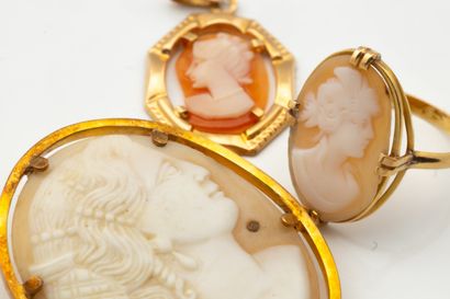 Set of shell cameos with women's profiles...