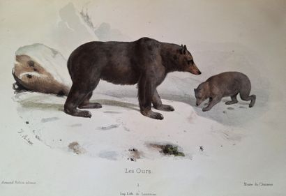 ADAM (Victor). *Musée du Chasseur*, or *Collection...