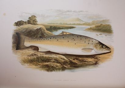 HOUGHTON (Rev. William). British Fresh-water...