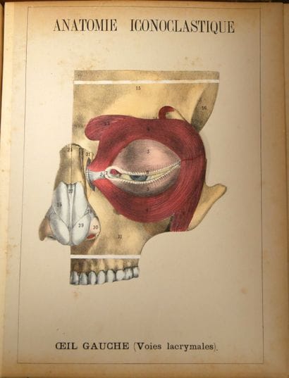 WITKOWSKI (G.-J.). Iconoclastic Anatomy....