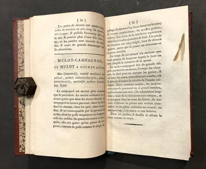 DELARBRE (Antoine). Zoological Essay, or...