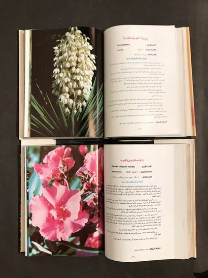 BOTANY. 2 works, 3 volumes:
- TLASS (General...