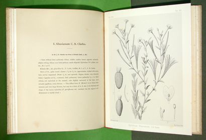 CUISIN (Charles) - BARBEY (W.). The genus...