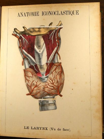 WITKOWSKI (G.-J.). Iconoclastic Anatomy....