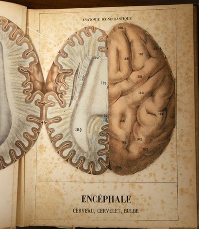 WITKOWSKI (G.-J.). Iconoclastic Anatomy....
