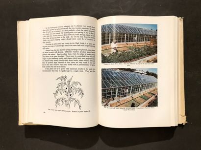 BOTANY. 2 works, 3 volumes:
- TLASS (General...