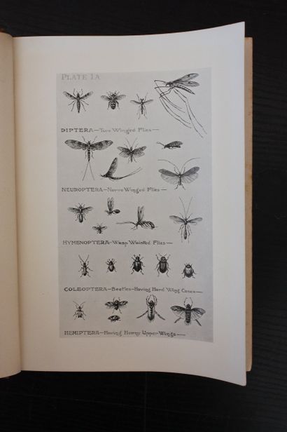 WEST (Leonard). *The Natural Trout Fly and...