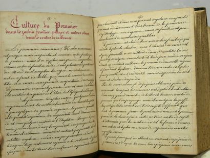 HORTICULTURE - MANUSCRIPT.
Elementary, Theoretical,...