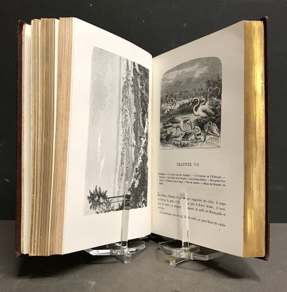 TRAVEL, 2 volumes:
- GOURDAULT (Jules). From...