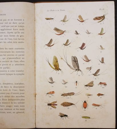 AMBLEVE (Henri d’). A Practical Treatise...