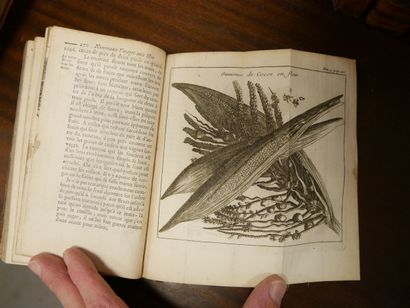 TRAVEL. Set of 17 volumes in-8 and in-12...