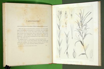 CUISIN (Charles) - BARBEY (W.). The genus...