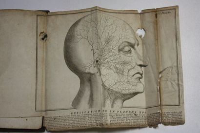 DU VERNET (Guichard Joseph). Traité de l'organe...