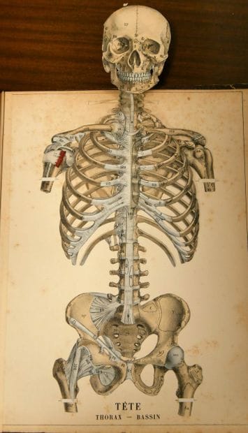 WITKOWSKI (G.-J.). Iconoclastic Anatomy....