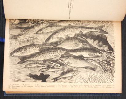 MASSAS (Charles de). The Artificial Fly Fisherman...