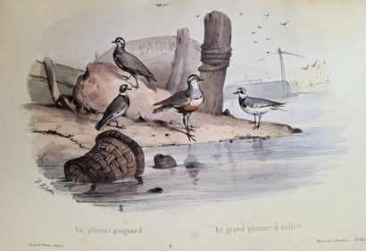 ADAM (Victor). *Musée du Chasseur*, or *Collection...