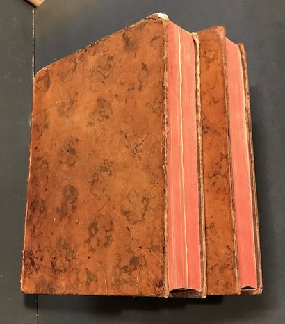DURAND de MAILLANE (Pierre-Toussaint). Dictionary...