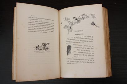 PETIT (G.-Albert). The River Trout. Artificial...