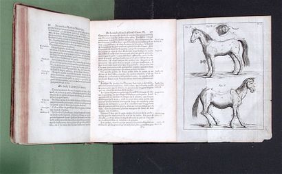 GARSAULT (François-Alexandre de). *The New...