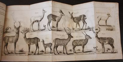 [BUFFON]. The Wonders of the Natural History...