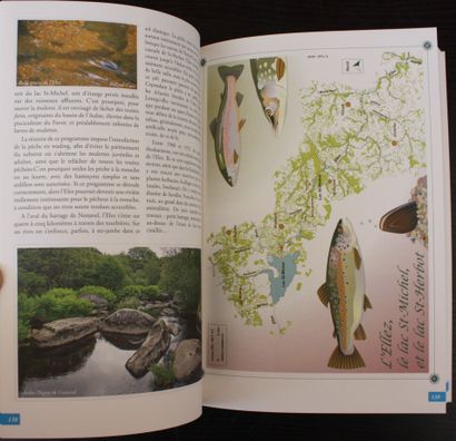 RIVERS AND LAKES OF ARMORICA. 
Breton Fly...