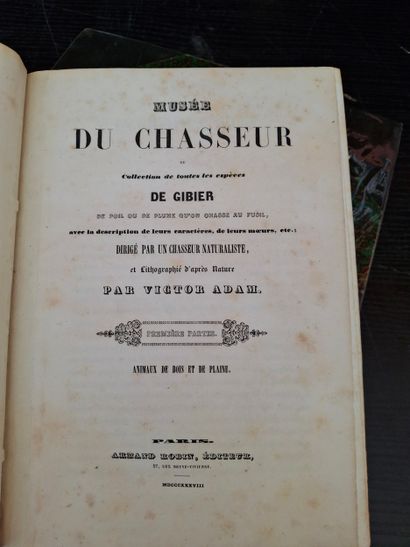 ADAM (Victor). *Musée du Chasseur*, or *Collection...