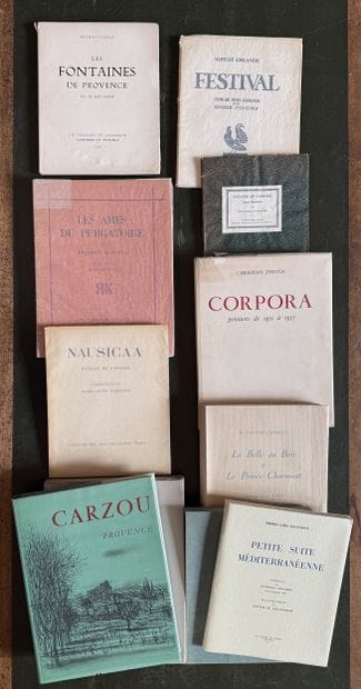 ILLUSTRATED LITERATURE. 9 volumes:
- ERLANDE...