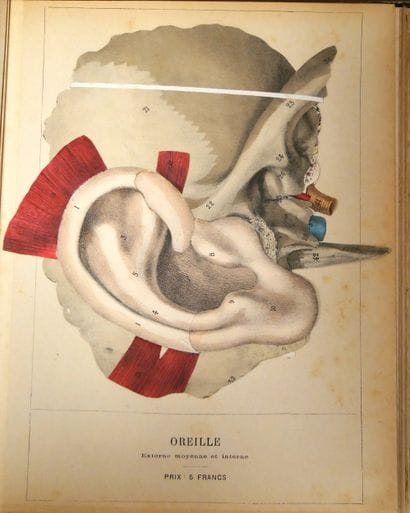 WITKOWSKI (G.-J.). Iconoclastic Anatomy....