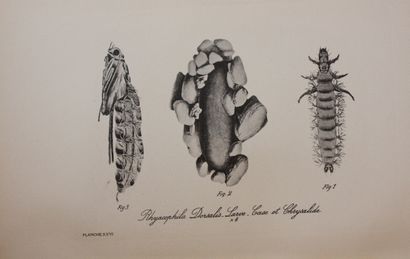 HALFORD (Frederic M.). A Guide to Dry Fly...