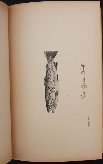 HALFORD (Frederic M.). A Guide to Dry Fly...