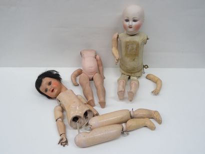 STEINER - Rare poupée mécanique dite 
